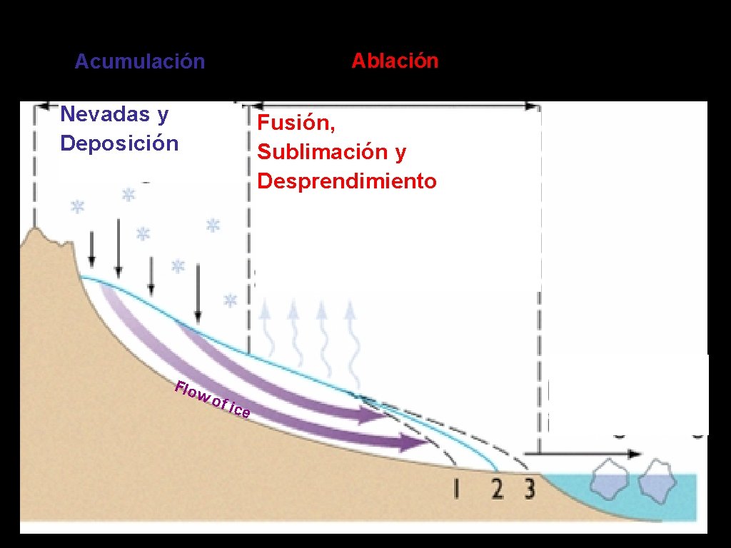 Ablación Acumulación Nevadas y Deposición Flo Fusión, Sublimación y Desprendimiento wo f ic e