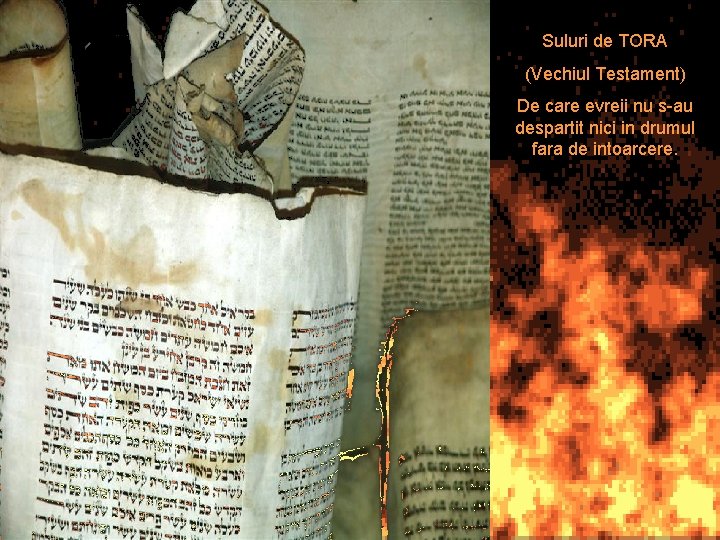 Suluri de TORA (Vechiul Testament) De care evreii nu s-au despartit nici in drumul