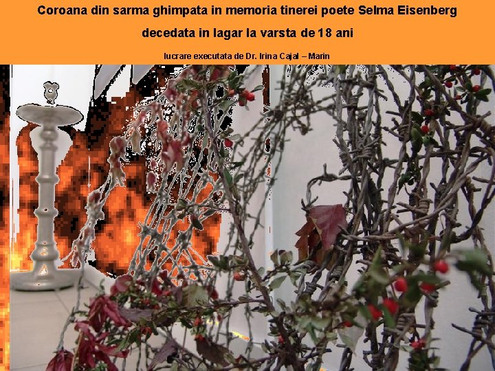 Coroana din sarma ghimpata in memoria tinerei poete Selma Eisenberg decedata in lagar la