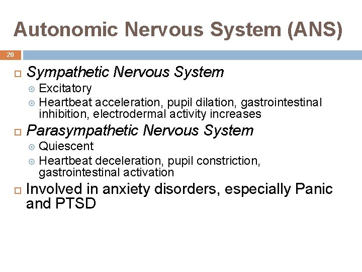 Autonomic Nervous System (ANS) 20 Sympathetic Nervous System Excitatory Heartbeat acceleration, pupil dilation, gastrointestinal