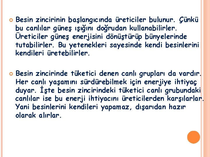  Besin zincirinin başlangıcında üreticiler bulunur. Çünkü bu canlılar güneş ışığını doğrudan kullanabilirler. Üreticiler