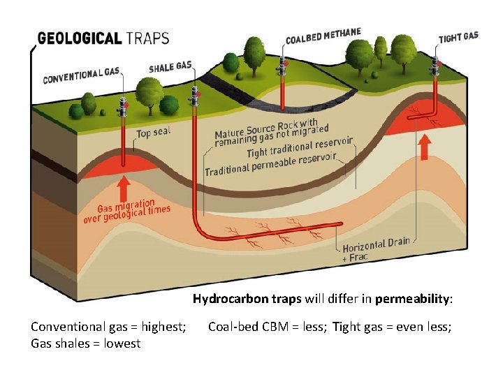 Hydrocarbon traps will differ in permeability: Conventional gas = highest; Coal-bed CBM = less;