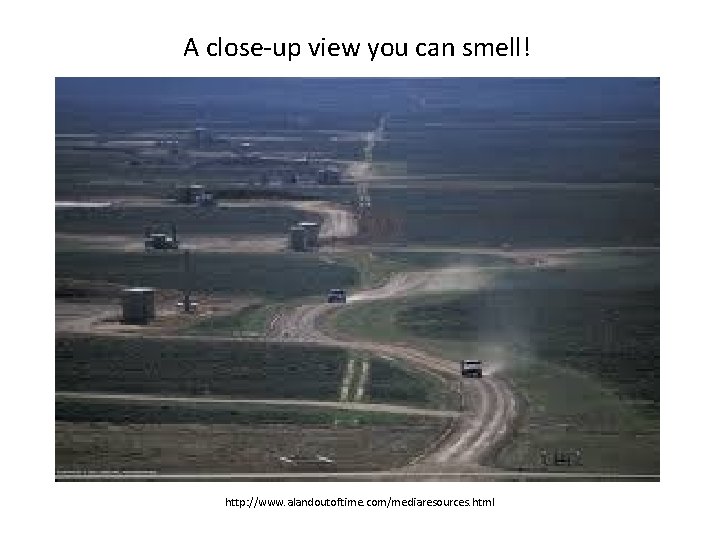 A close-up view you can smell! http: //www. alandoutoftime. com/mediaresources. html 