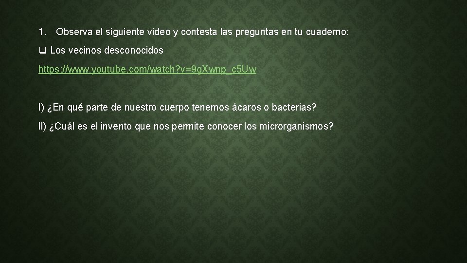 1. Observa el siguiente video y contesta las preguntas en tu cuaderno: q Los