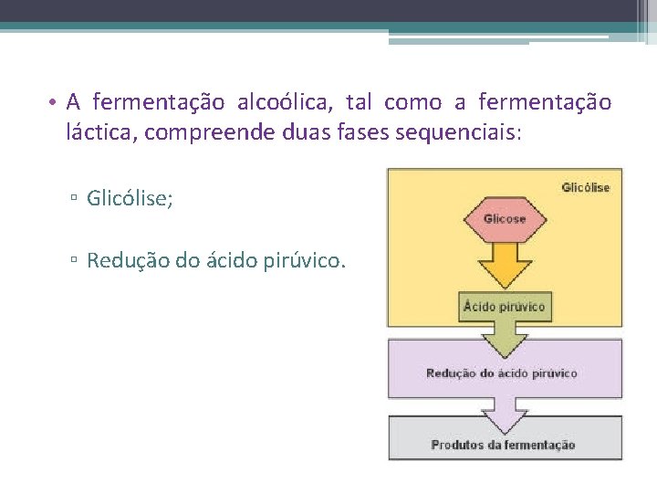  • A fermentação alcoólica, tal como a fermentação láctica, compreende duas fases sequenciais: