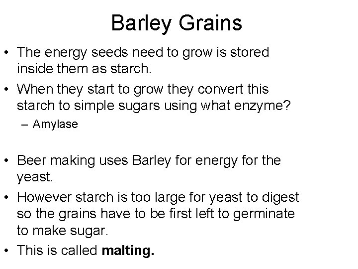 Barley Grains • The energy seeds need to grow is stored inside them as