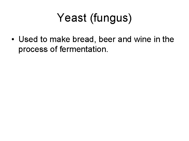 Yeast (fungus) • Used to make bread, beer and wine in the process of