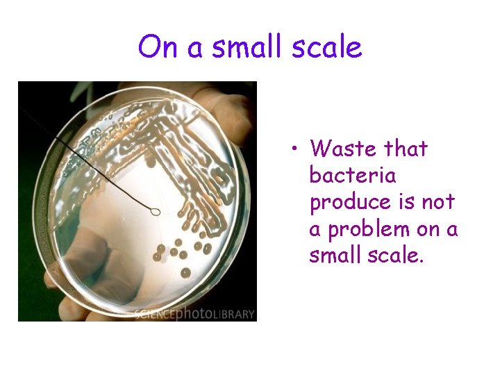 On a small scale • Waste that bacteria produce is not a problem on