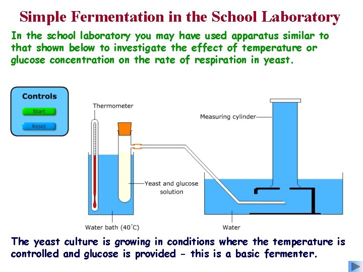 Simple Fermentation in the School Laboratory In the school laboratory you may have used