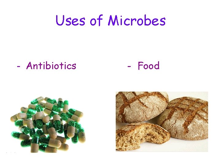 Uses of Microbes - Antibiotics - Food 