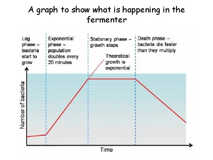 A graph to show what is happening in the fermenter 