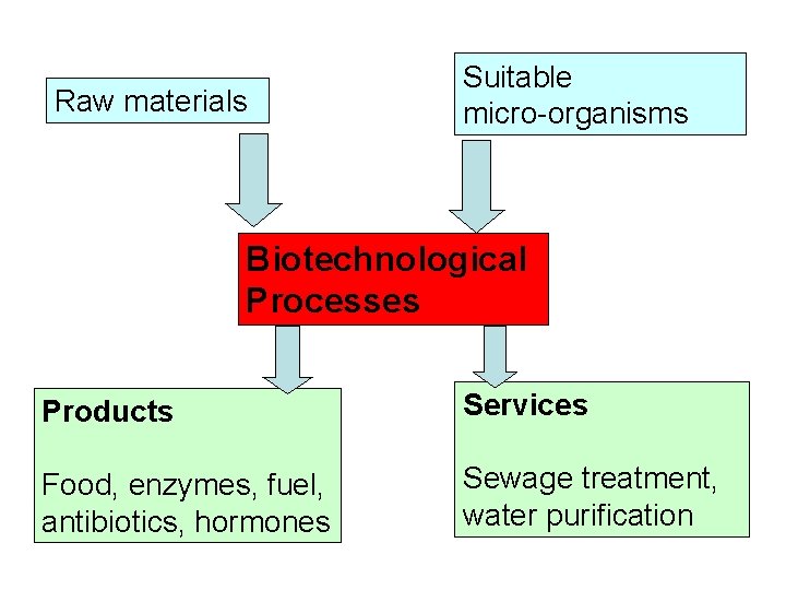 Raw materials Suitable micro-organisms Biotechnological Processes Products Services Food, enzymes, fuel, antibiotics, hormones Sewage