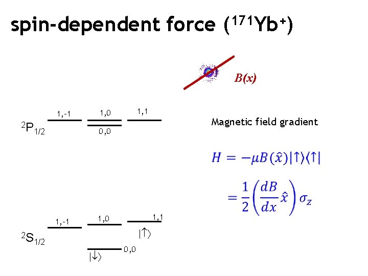 spin-dependent force (171 Yb+) B(x) 1, -1 2 P 1, 1 1, 0 Magnetic