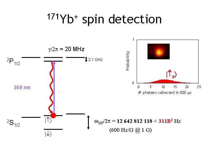 171 Yb+ spin detection g/2 p = 20 MHz 2 P 2. 1 GHz