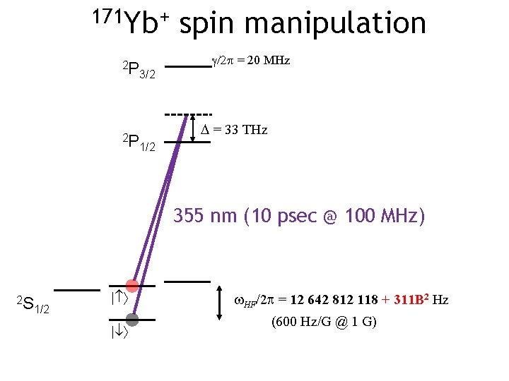 171 Yb+ 2 P 2 P spin manipulation g/2 p = 20 MHz 3/2