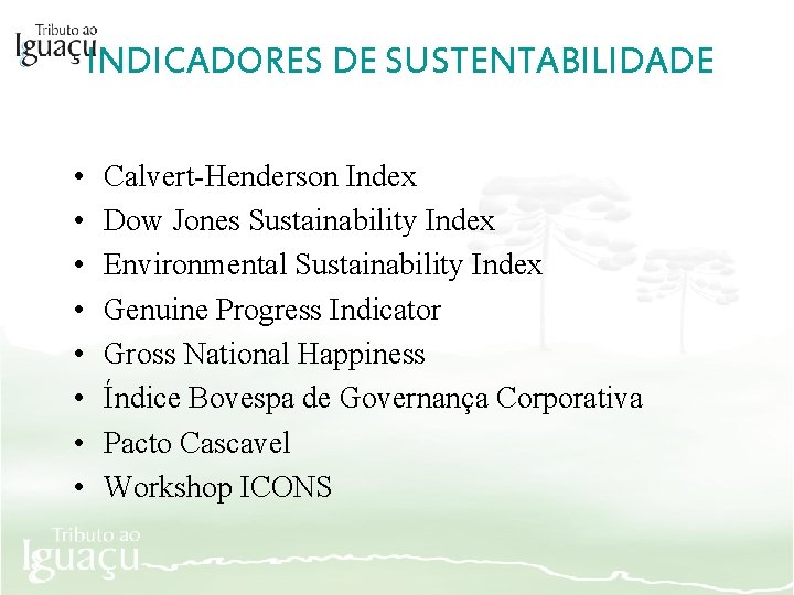 INDICADORES DE SUSTENTABILIDADE • • Calvert-Henderson Index Dow Jones Sustainability Index Environmental Sustainability Index