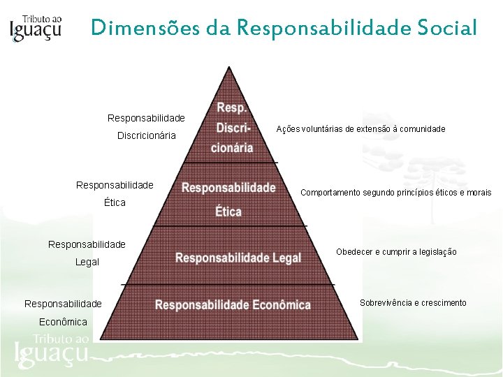 Dimensões da Responsabilidade Social Responsabilidade Discricionária Responsabilidade Ações voluntárias de extensão à comunidade Comportamento