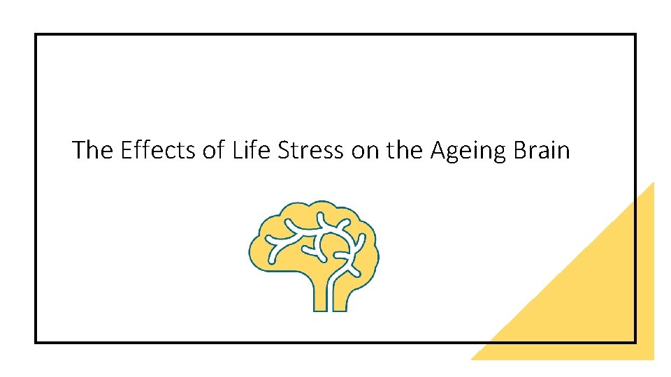 The Effects of Life Stress on the Ageing Brain 