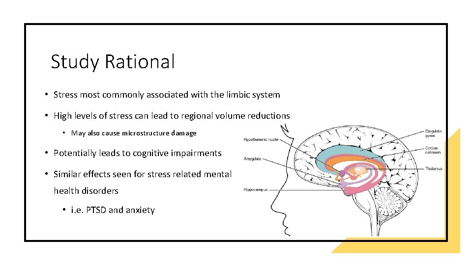 Study Rational • Stress most commonly associated with the limbic system • High levels