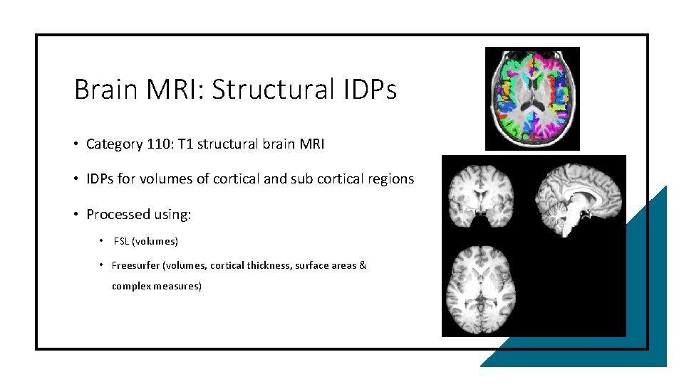 Brain MRI: Structural IDPs • Category 110: T 1 structural brain MRI • IDPs