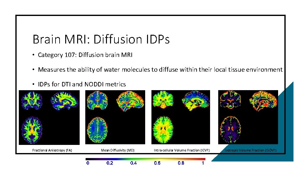 Brain MRI: Diffusion IDPs • Category 107: Diffusion brain MRI • Measures the ability