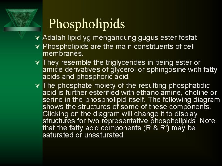 Phospholipids Ú Adalah lipid yg mengandung gugus ester fosfat Ú Phospholipids are the main