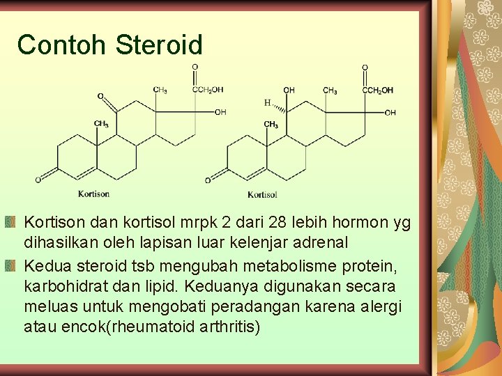 Contoh Steroid Kortison dan kortisol mrpk 2 dari 28 lebih hormon yg dihasilkan oleh