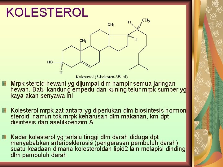 KOLESTEROL Mrpk steroid hewani yg dijumpai dlm hampir semua jaringan hewan. Batu kandung empedu