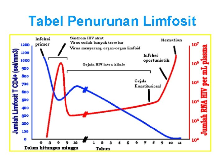 Tabel Penurunan Limfosit 