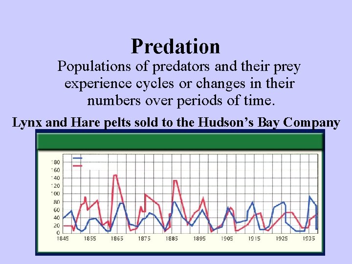 Predation Populations of predators and their prey experience cycles or changes in their numbers