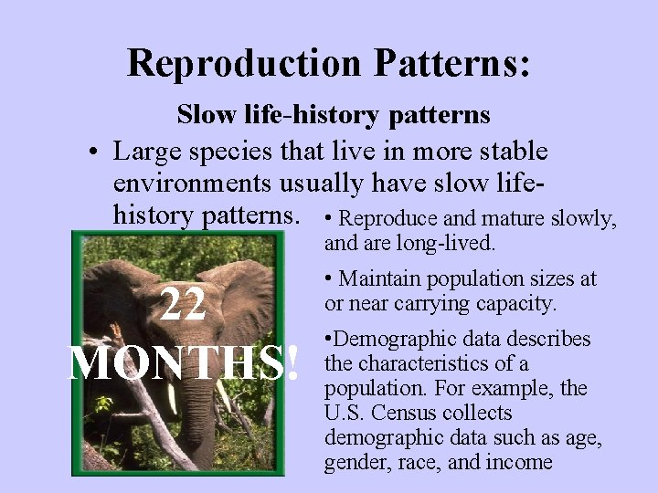 Reproduction Patterns: Slow life-history patterns • Large species that live in more stable environments