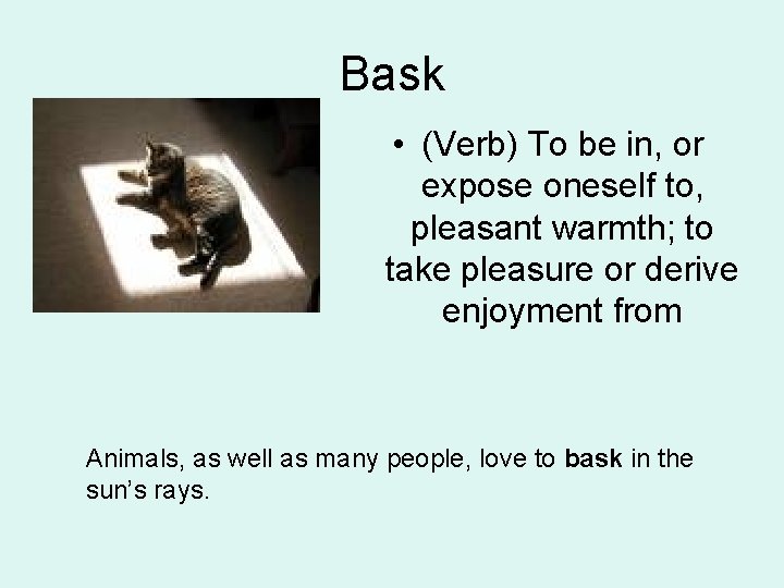 Bask • (Verb) To be in, or expose oneself to, pleasant warmth; to take