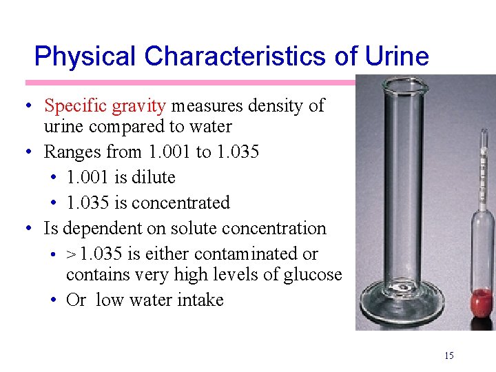 Physical Characteristics of Urine • Specific gravity measures density of urine compared to water