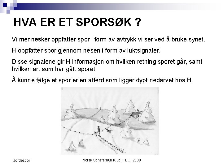 HVA ER ET SPORSØK ? Vi mennesker oppfatter spor i form av avtrykk vi