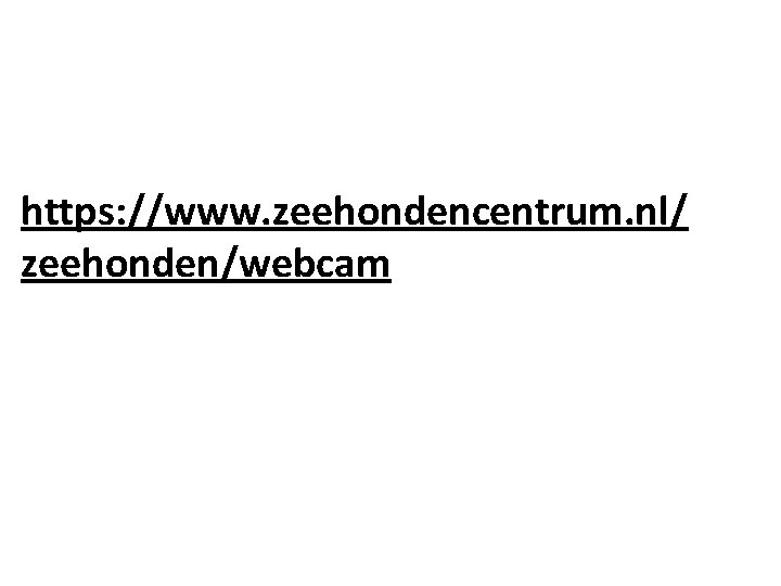 https: //www. zeehondencentrum. nl/ zeehonden/webcam 