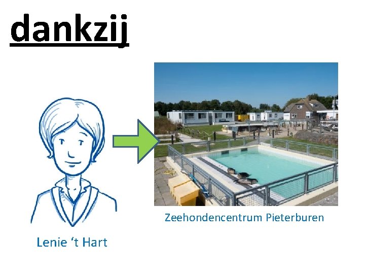 dankzij Zeehondencentrum Pieterburen Lenie ‘t Hart 