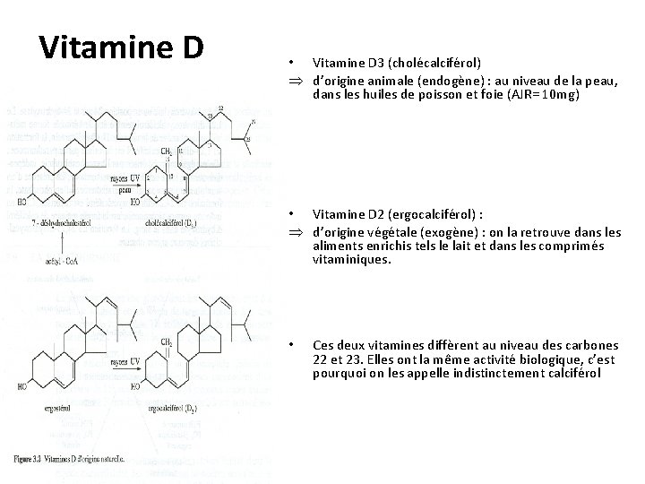 Vitamine D • Vitamine D 3 (cholécalciférol) d’origine animale (endogène) : au niveau de