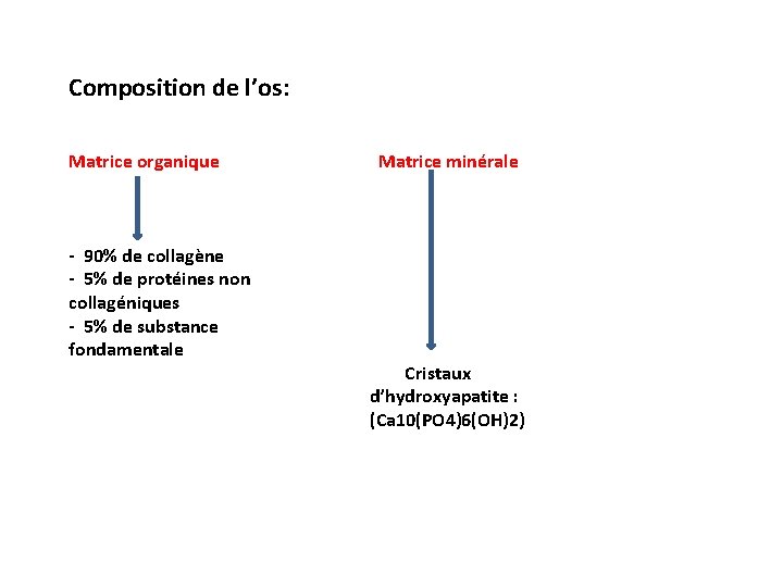 Composition de l’os: Matrice organique - 90% de collagène - 5% de protéines non