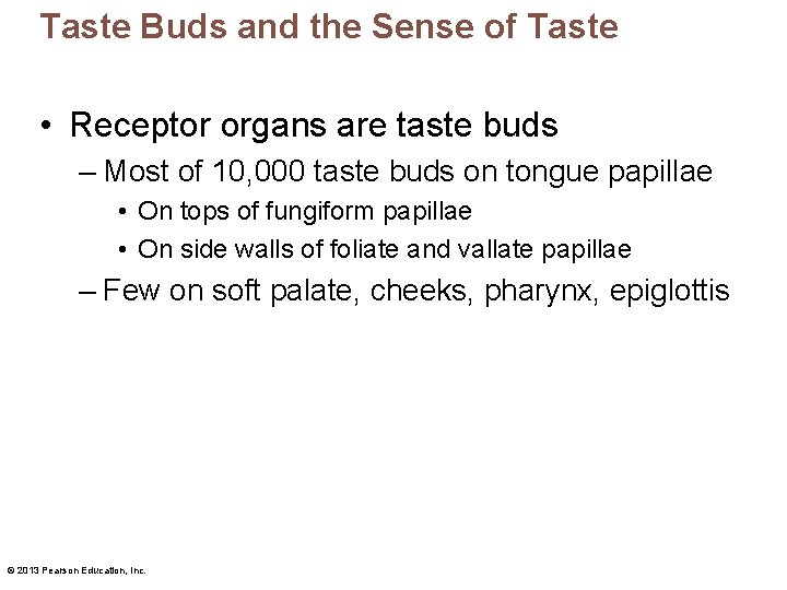 Taste Buds and the Sense of Taste • Receptor organs are taste buds –