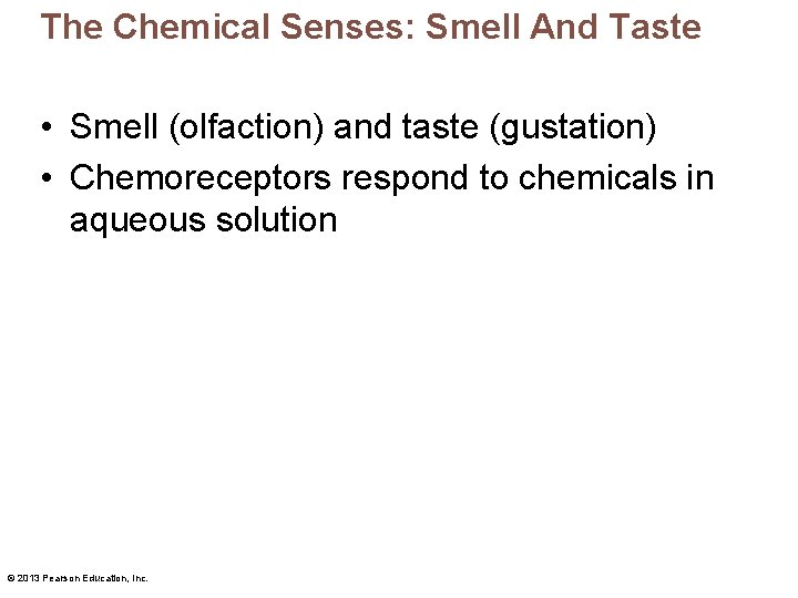 The Chemical Senses: Smell And Taste • Smell (olfaction) and taste (gustation) • Chemoreceptors