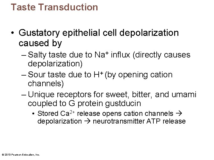 Taste Transduction • Gustatory epithelial cell depolarization caused by – Salty taste due to