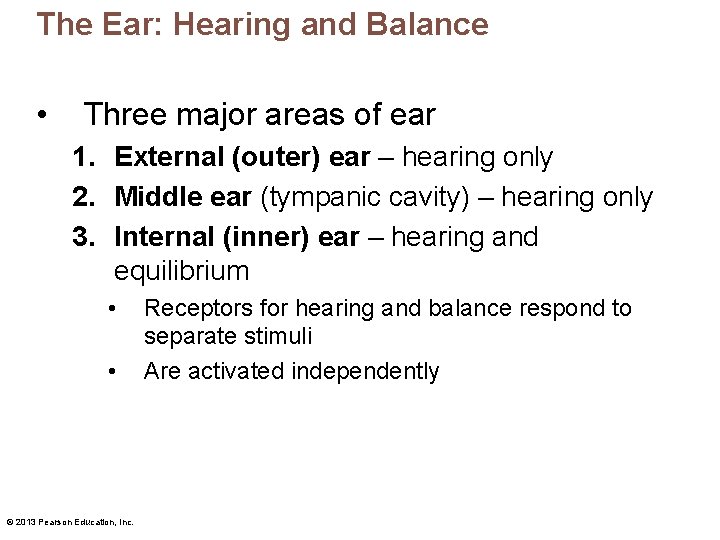 The Ear: Hearing and Balance • Three major areas of ear 1. External (outer)