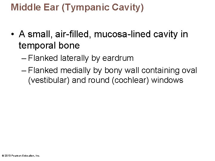 Middle Ear (Tympanic Cavity) • A small, air-filled, mucosa-lined cavity in temporal bone –