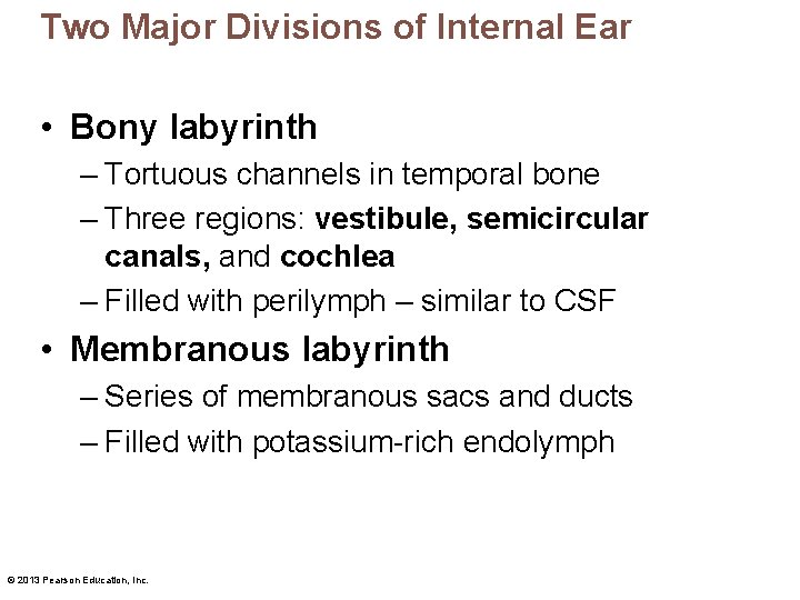 Two Major Divisions of Internal Ear • Bony labyrinth – Tortuous channels in temporal