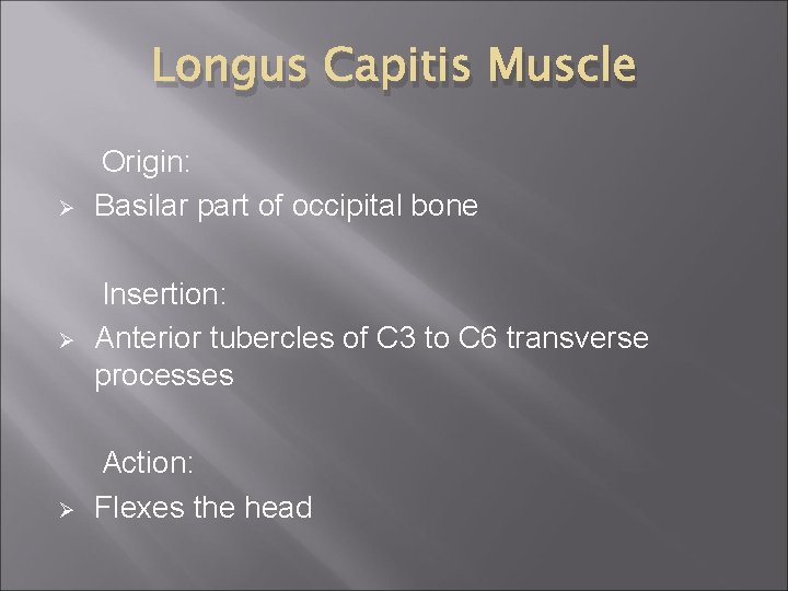 Longus Capitis Muscle Ø Ø Ø Origin: Basilar part of occipital bone Insertion: Anterior