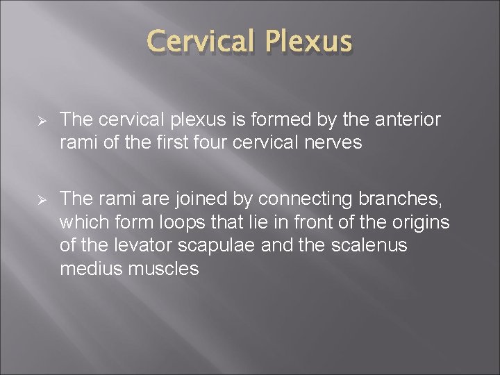 Cervical Plexus Ø The cervical plexus is formed by the anterior rami of the
