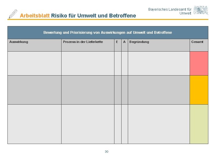 Arbeitsblatt Risiko für Umwelt und Betroffene Bayerisches Landesamt für Umwelt Bewertung und Priorisierung von
