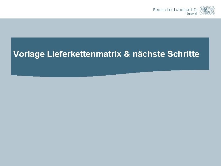 Bayerisches Landesamt für Umwelt Vorlage Lieferkettenmatrix & nächste Schritte 