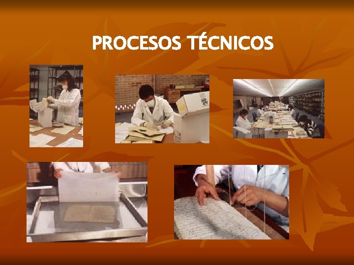 PROCESOS TÉCNICOS 