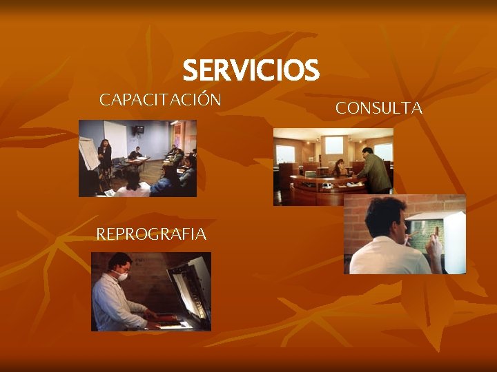 SERVICIOS CAPACITACIÓN REPROGRAFIA CONSULTA 